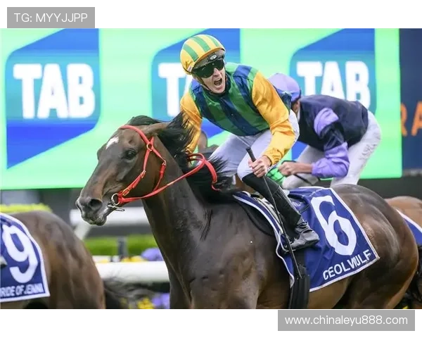 乐鱼体育官方手机版带你畅享高清赛事直播体验，随时随地掌握最新体育资讯