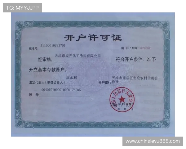 乐鱼体育平台网页版注册流程与账户安全保障方案分析