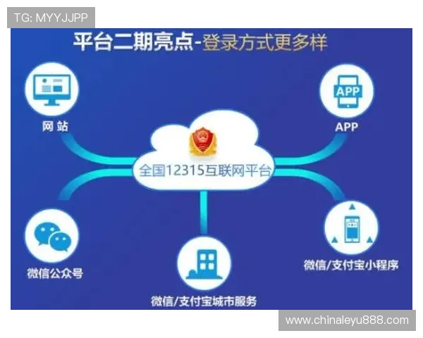 乐鱼在线官网登录入口稳定性分析如何选择最优登录通道保障顺畅体验