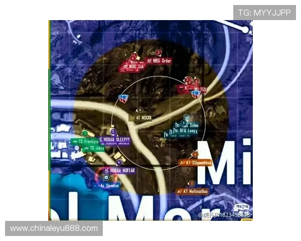 乐鱼平台入口官网安全稳定，保障每位用户的游戏体验指南