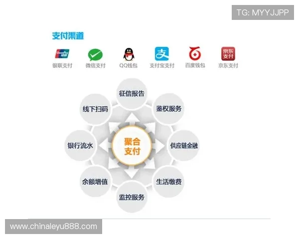 乐鱼客户端的支付方式多样化，支持多种支付渠道，保障资金安全快速到账