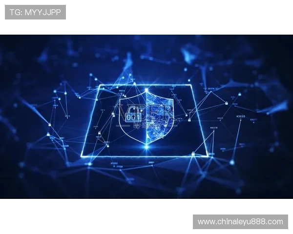 乐鱼手机在线登录入口官网关注用户隐私与数据安全保护措施情况