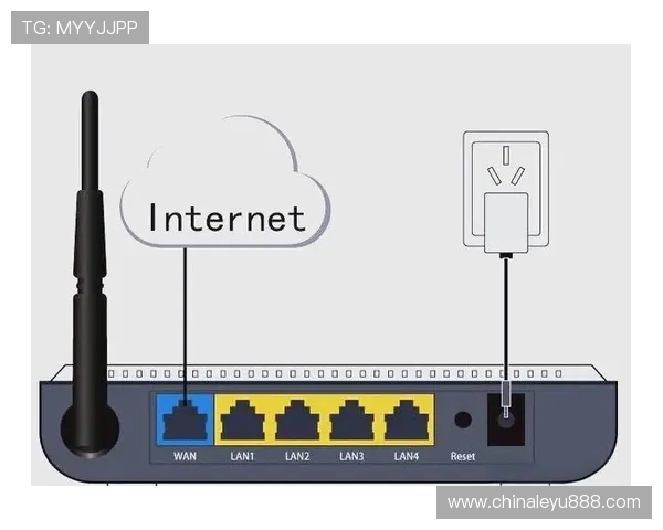 乐鱼在线网页版登录不成功的常见原因及详细排查步骤指南
