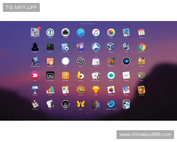 乐鱼电子app如何保障账号安全与个人信息保护的实用建议