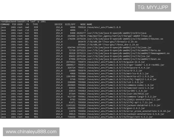 乐鱼游戏下载后首页打不开怎么办？详细排查步骤与解决方案推荐