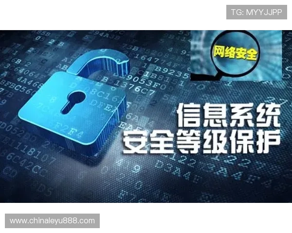 乐鱼电竞官网平台登录安全保障措施及账号保护策略全面解析